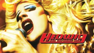 Hedwig and the angry inch poster